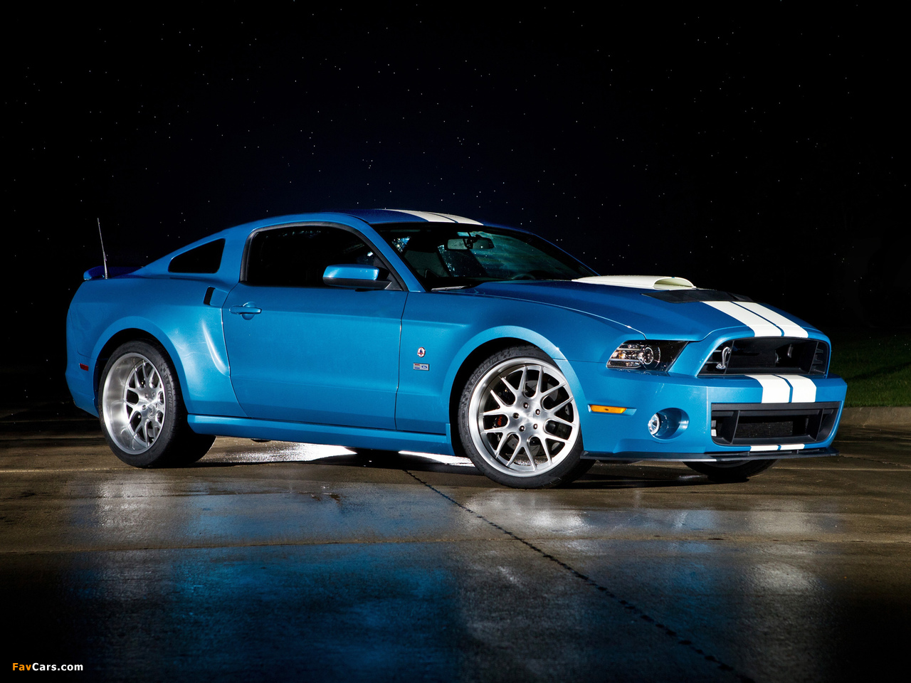 Pictures of Shelby GT500 Cobra 2012 (1280 x 960)