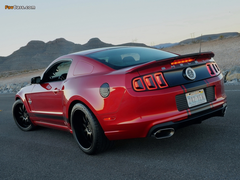 Pictures of Shelby GT500 Super Snake Wide Body 2013–14 (800 x 600)