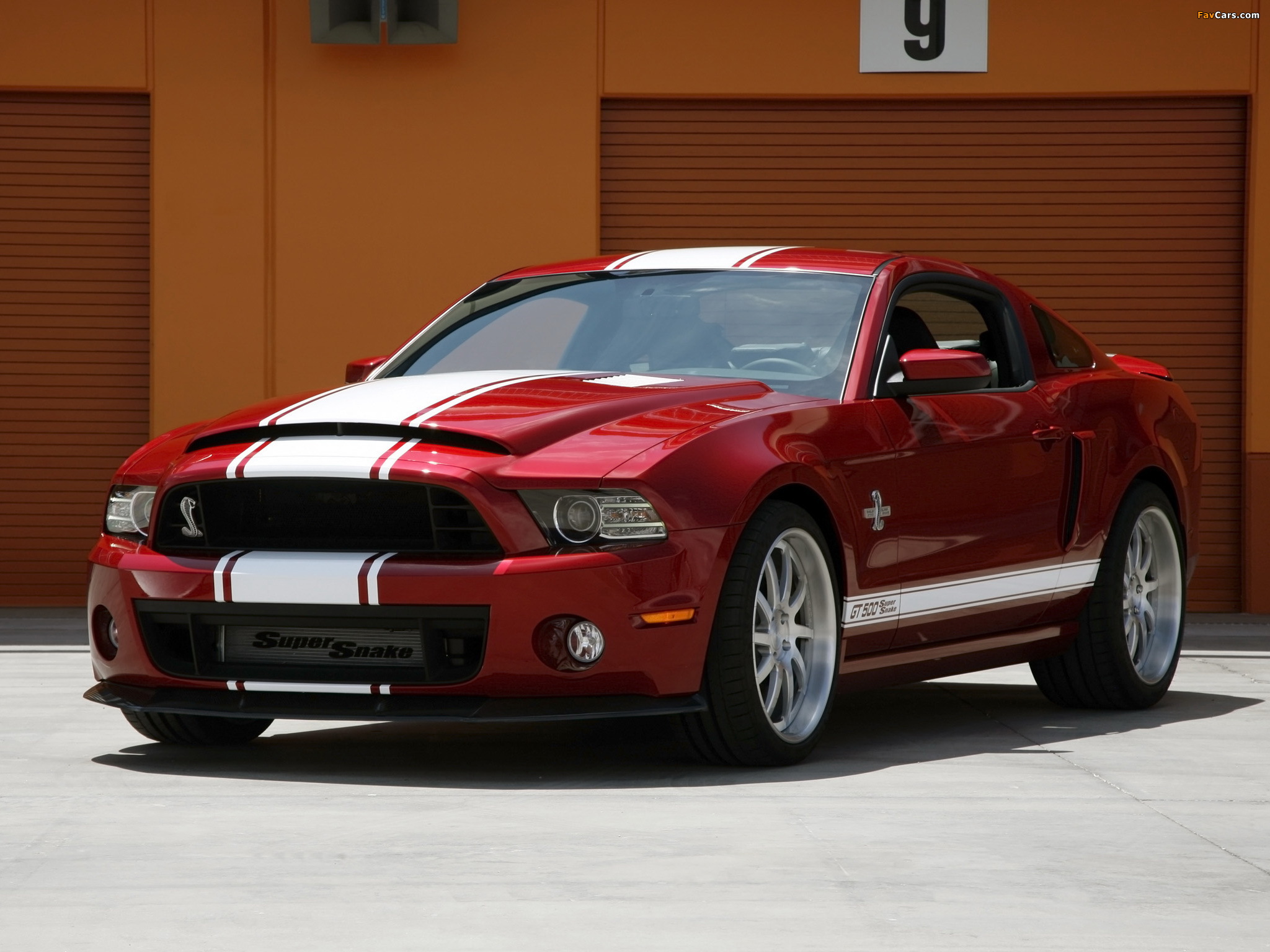 Pictures of Shelby GT500 Super Snake 2013–14 (2048 x 1536)