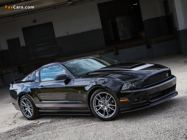 Pictures of Roush RS 2013 (640 x 480)
