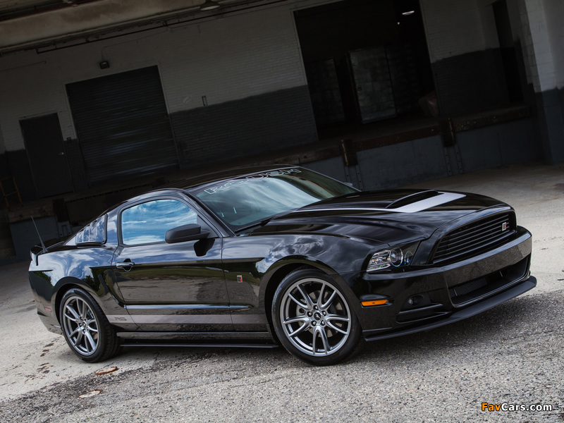 Pictures of Roush RS 2013 (800 x 600)