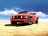 Mustang GT Convertible 2005–08 wallpapers