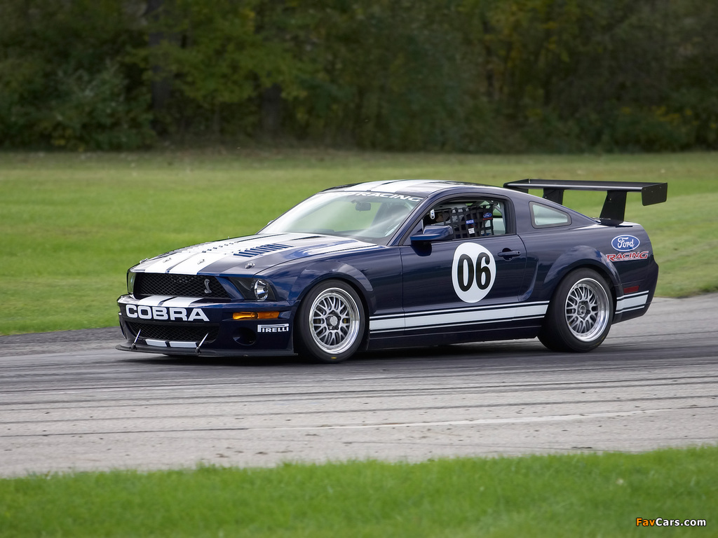 Mustang FR500 GT 2006 wallpapers (1024 x 768)