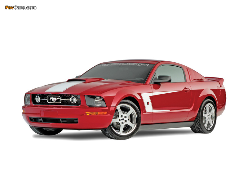 Roush V6 2006–09 wallpapers (800 x 600)