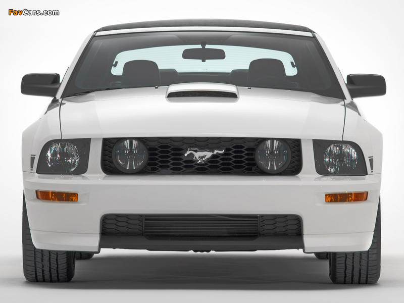 Mustang GT California Special 2007 wallpapers (800 x 600)