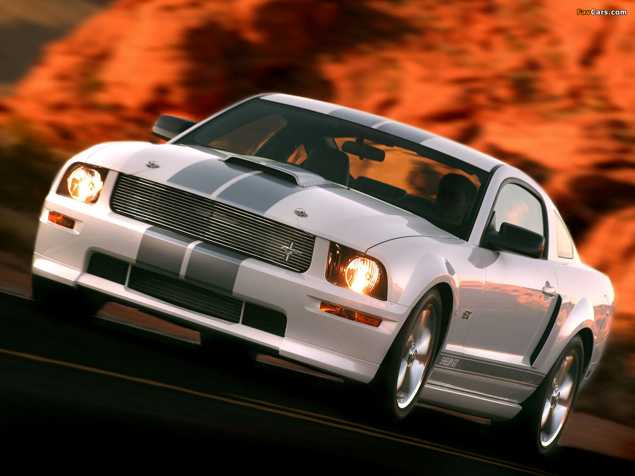 Shelby GT 2007 wallpapers (1280 x 960)