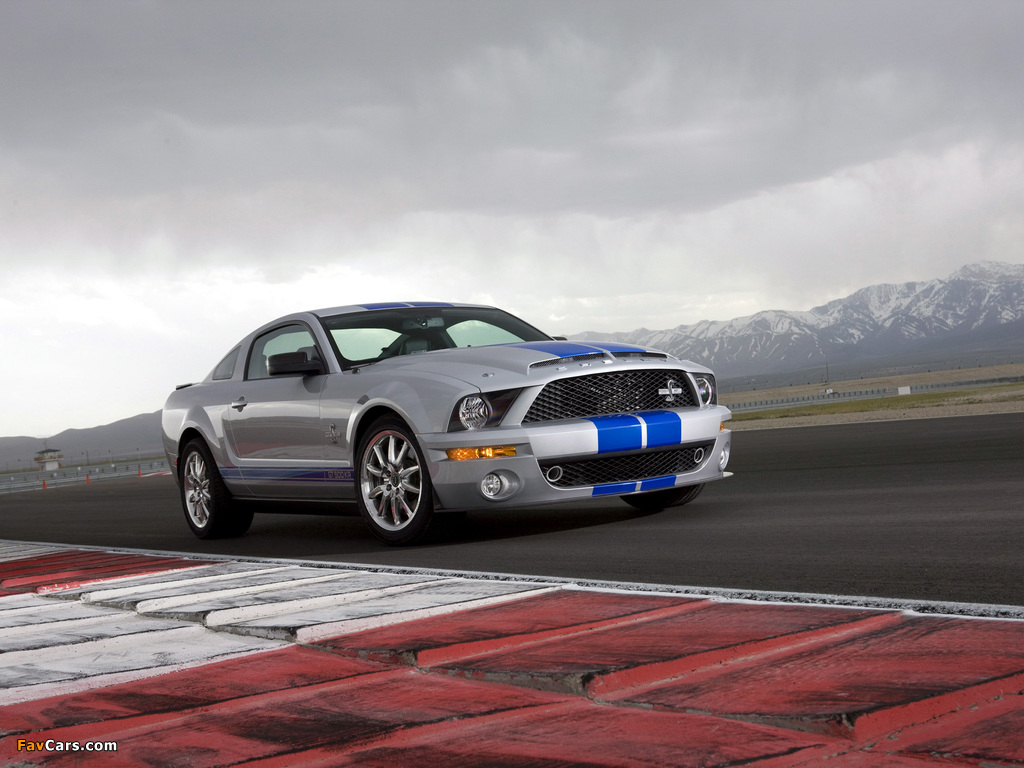 Shelby GT500 KR 40th Anniversary 2008 wallpapers (1024 x 768)