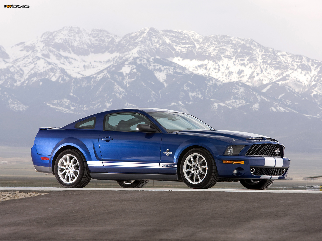 Shelby GT500 KR 40th Anniversary 2008 wallpapers (1280 x 960)