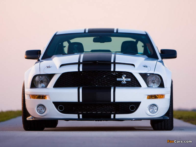 Shelby GT500 Super Snake 2008–10 wallpapers (800 x 600)