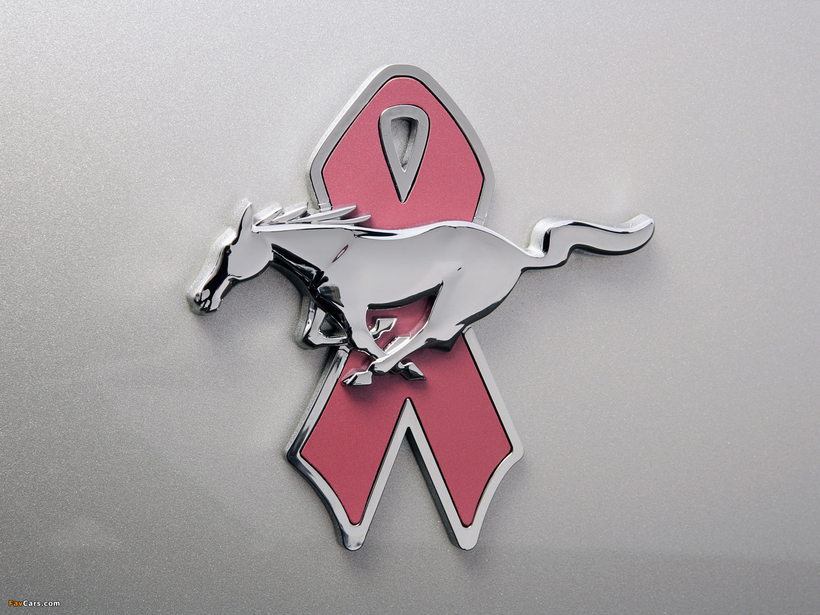 Mustang Coupe Warriors in Pink 2008 wallpapers (1600 x 1200)