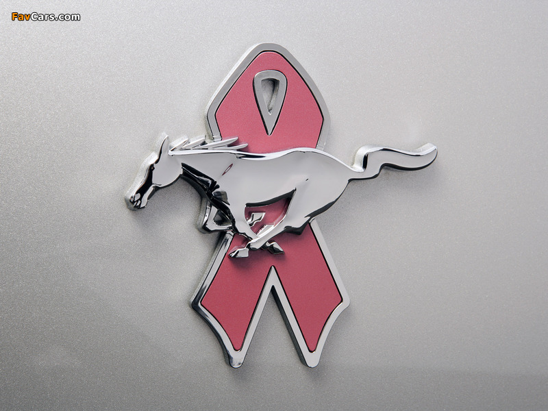 Mustang Coupe Warriors in Pink 2008 wallpapers (800 x 600)