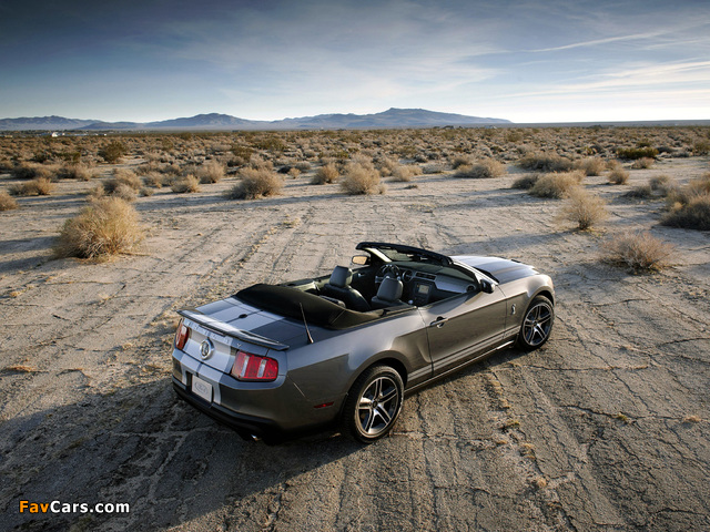 Shelby GT500 Convertible SVT 2009–10 wallpapers (640 x 480)