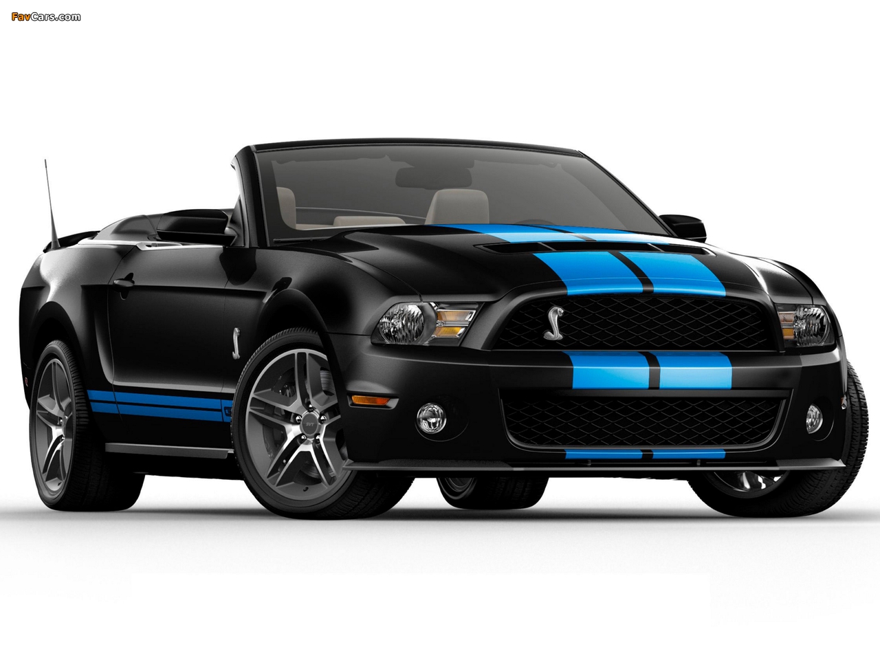 Shelby GT500 Convertible SVT 2009–10 wallpapers (1280 x 960)