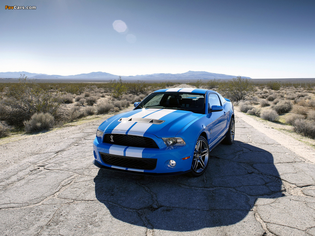 Shelby GT500 2009–10 wallpapers (1024 x 768)