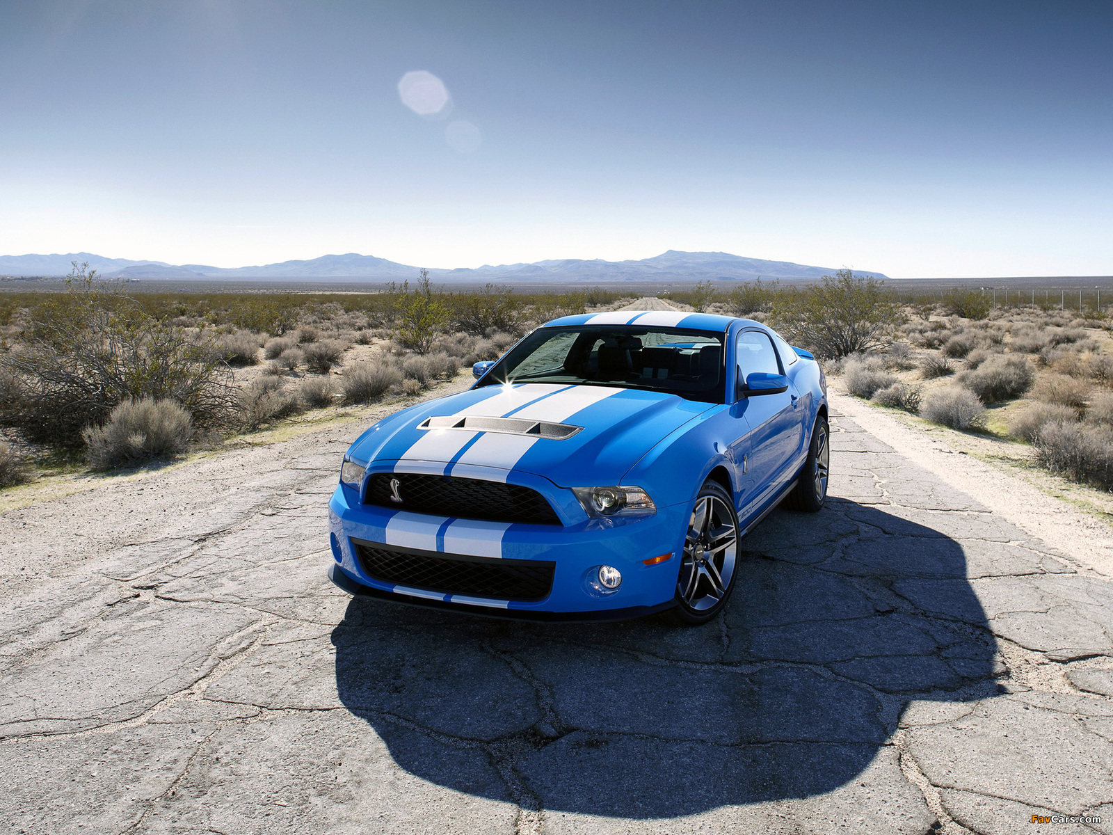 Shelby GT500 2009–10 wallpapers (1600 x 1200)