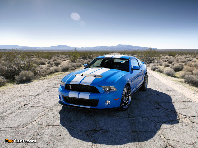 Shelby GT500 2009–10 wallpapers (640 x 480)