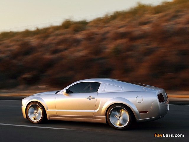 Mustang Iacocca 45th Anniversary Edition 2009 wallpapers (640 x 480)