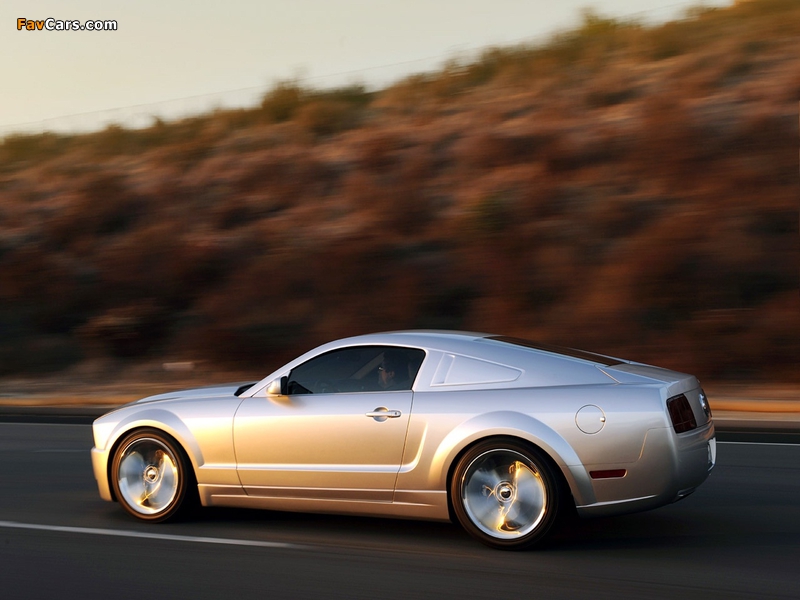 Mustang Iacocca 45th Anniversary Edition 2009 wallpapers (800 x 600)