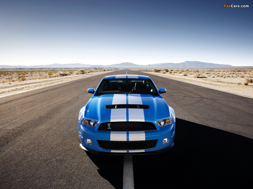 Shelby GT500 2009–10 wallpapers (1024 x 768)