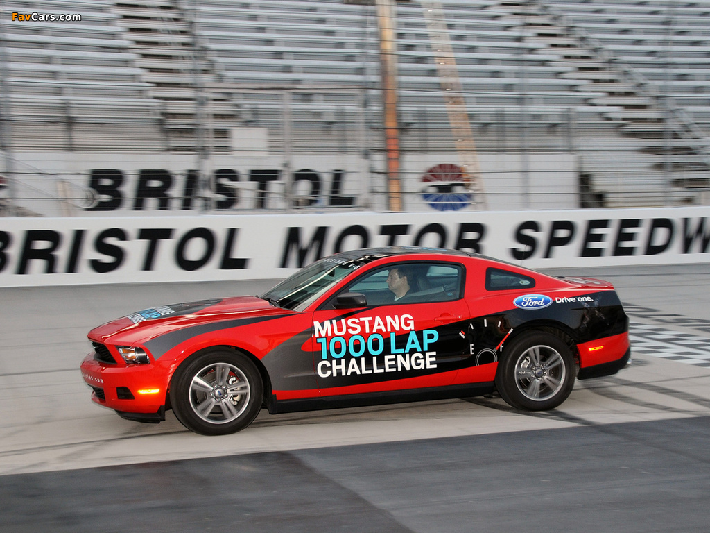Mustang V6 1000 Lap Challenge 2010 wallpapers (1024 x 768)