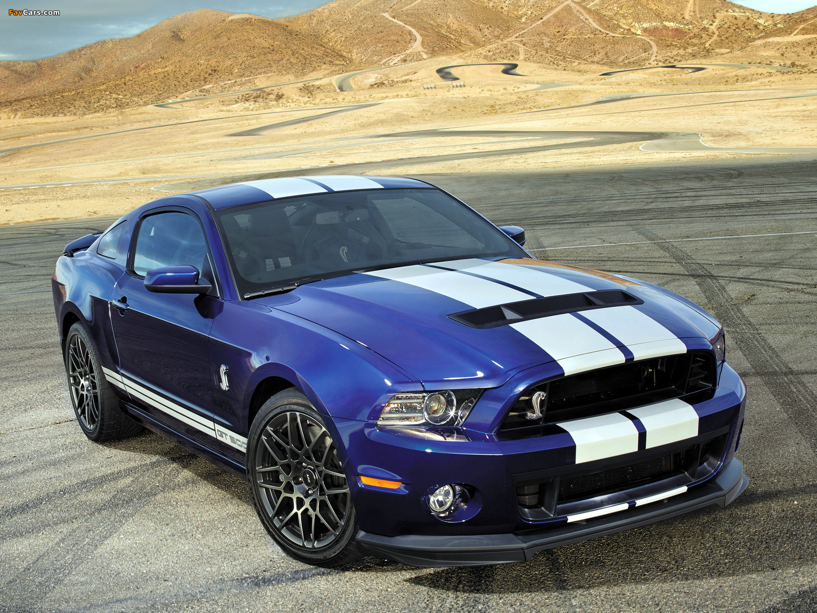 Shelby GT500 SVT 2012 wallpapers (1600 x 1200)