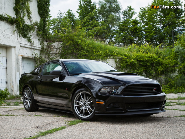Roush RS 2013 wallpapers (640 x 480)