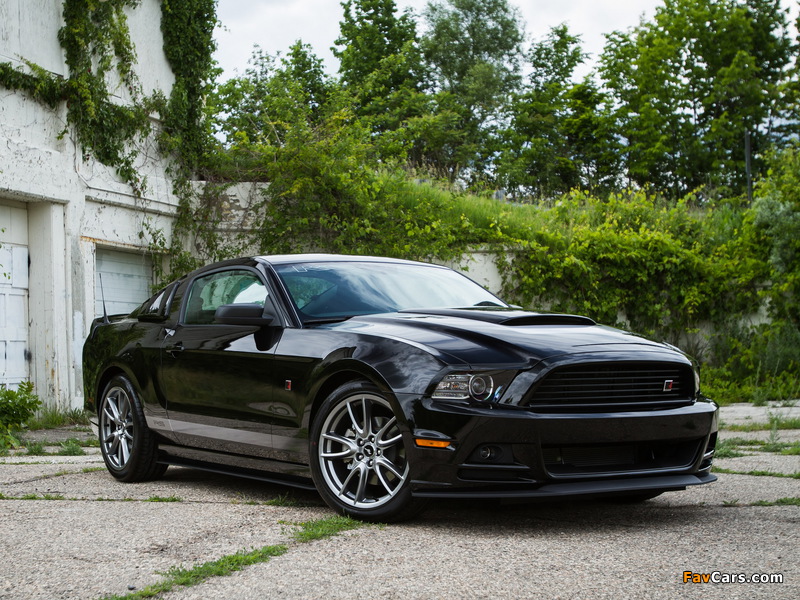 Roush RS 2013 wallpapers (800 x 600)