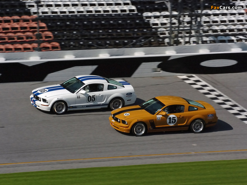 Mustang Race Car 2005–09 wallpapers (800 x 600)