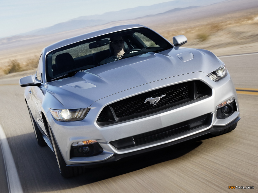 Images of 2015 Mustang GT 2014 (1024 x 768)