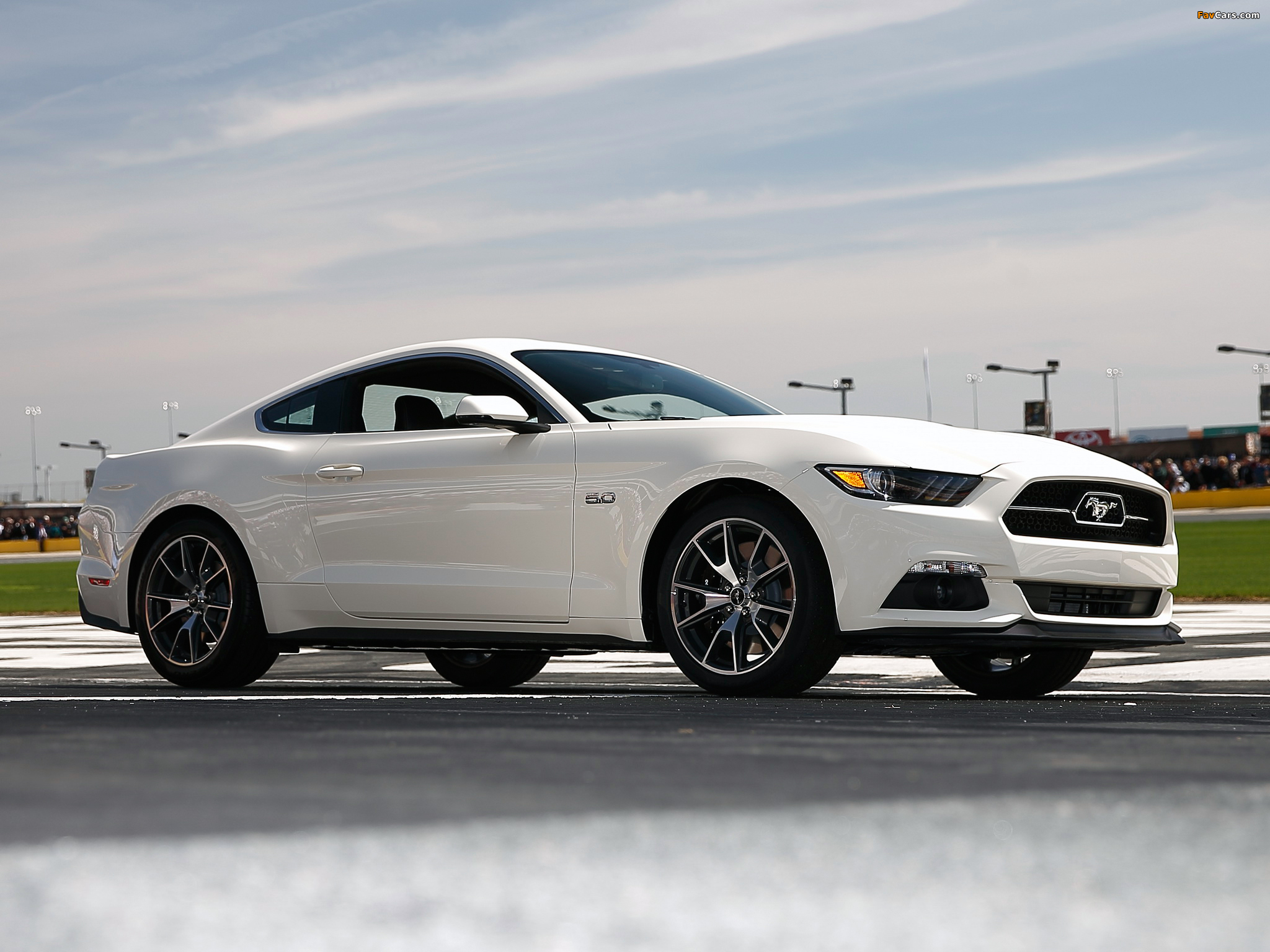 Images of 2015 Mustang GT 50 Years 2014 (2048 x 1536)