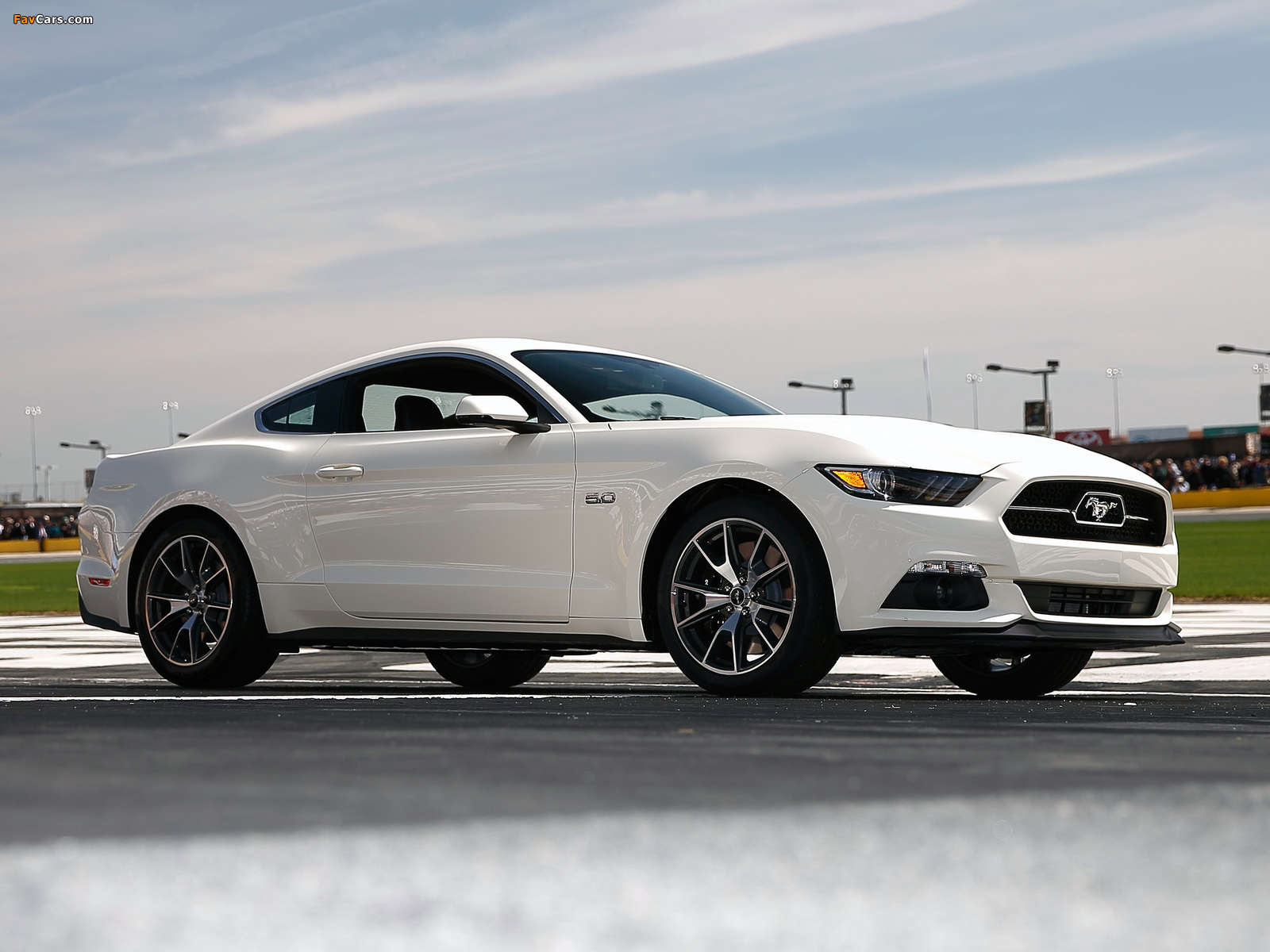 Images of 2015 Mustang GT 50 Years 2014 (1600 x 1200)