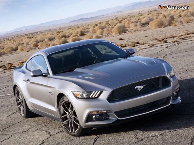 Images of 2015 Mustang GT 2014 (640 x 480)