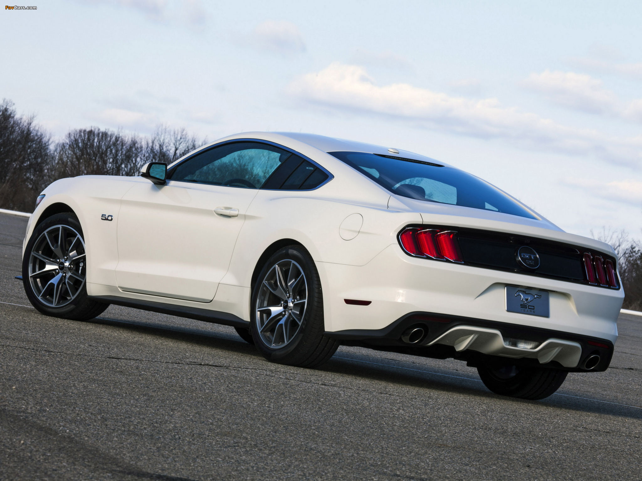 2015 Mustang GT 50 Years 2014 images (2048 x 1536)