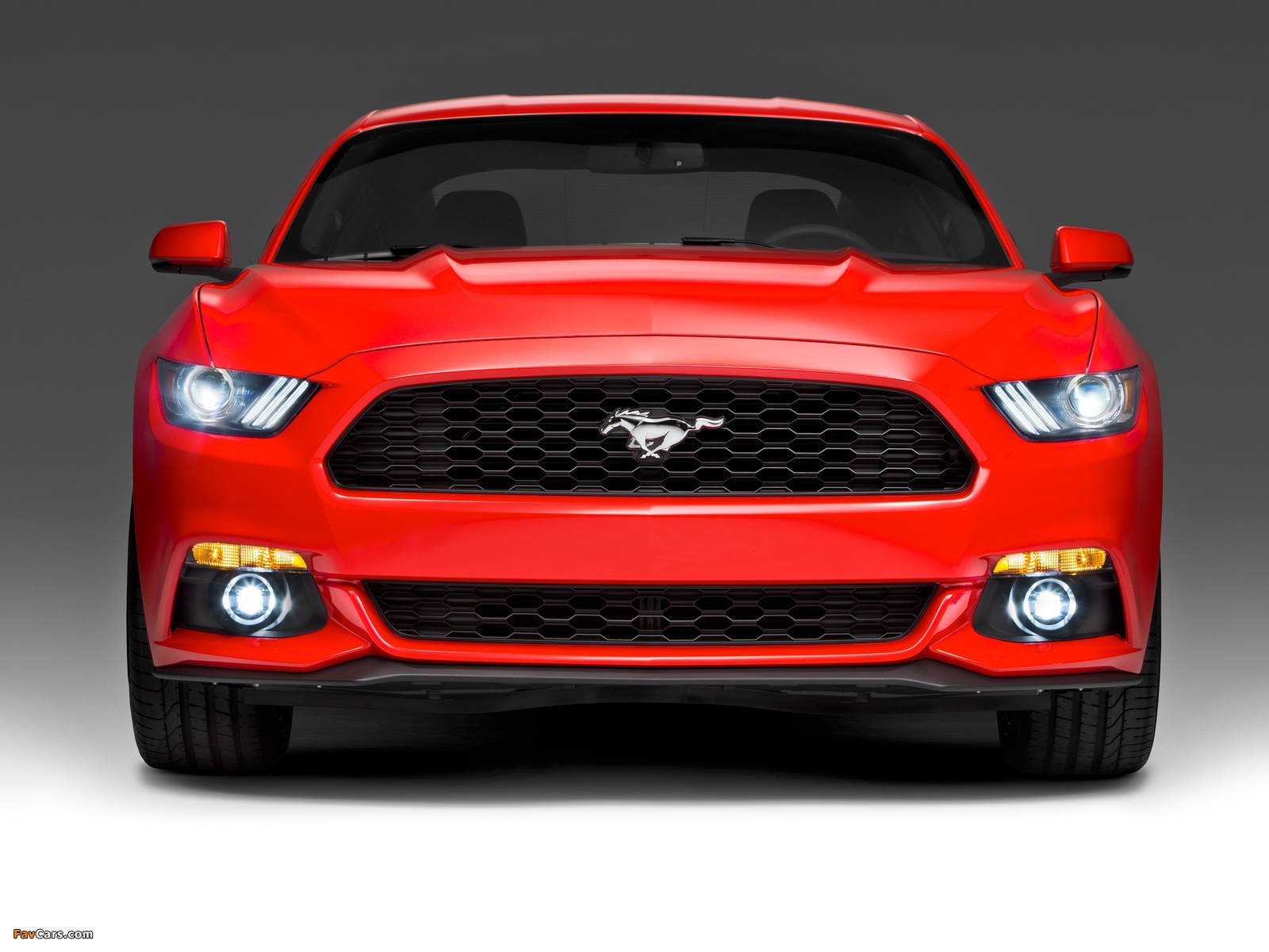 2015 Mustang Coupe 2014 photos (1600 x 1200)