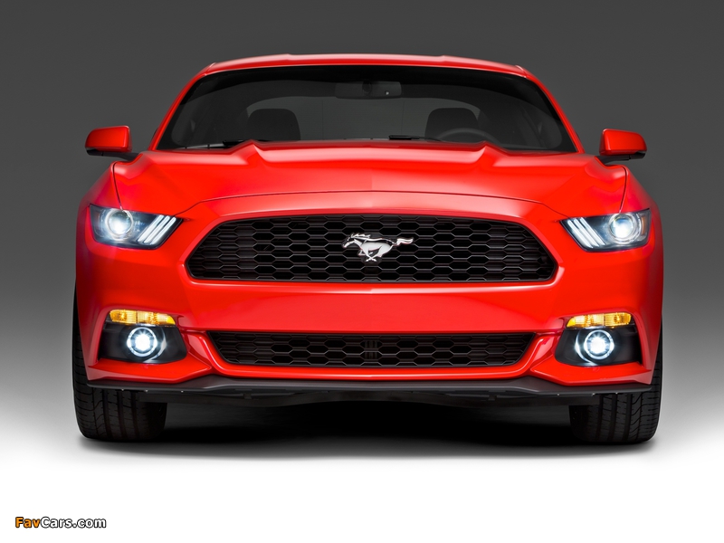 2015 Mustang Coupe 2014 photos (800 x 600)