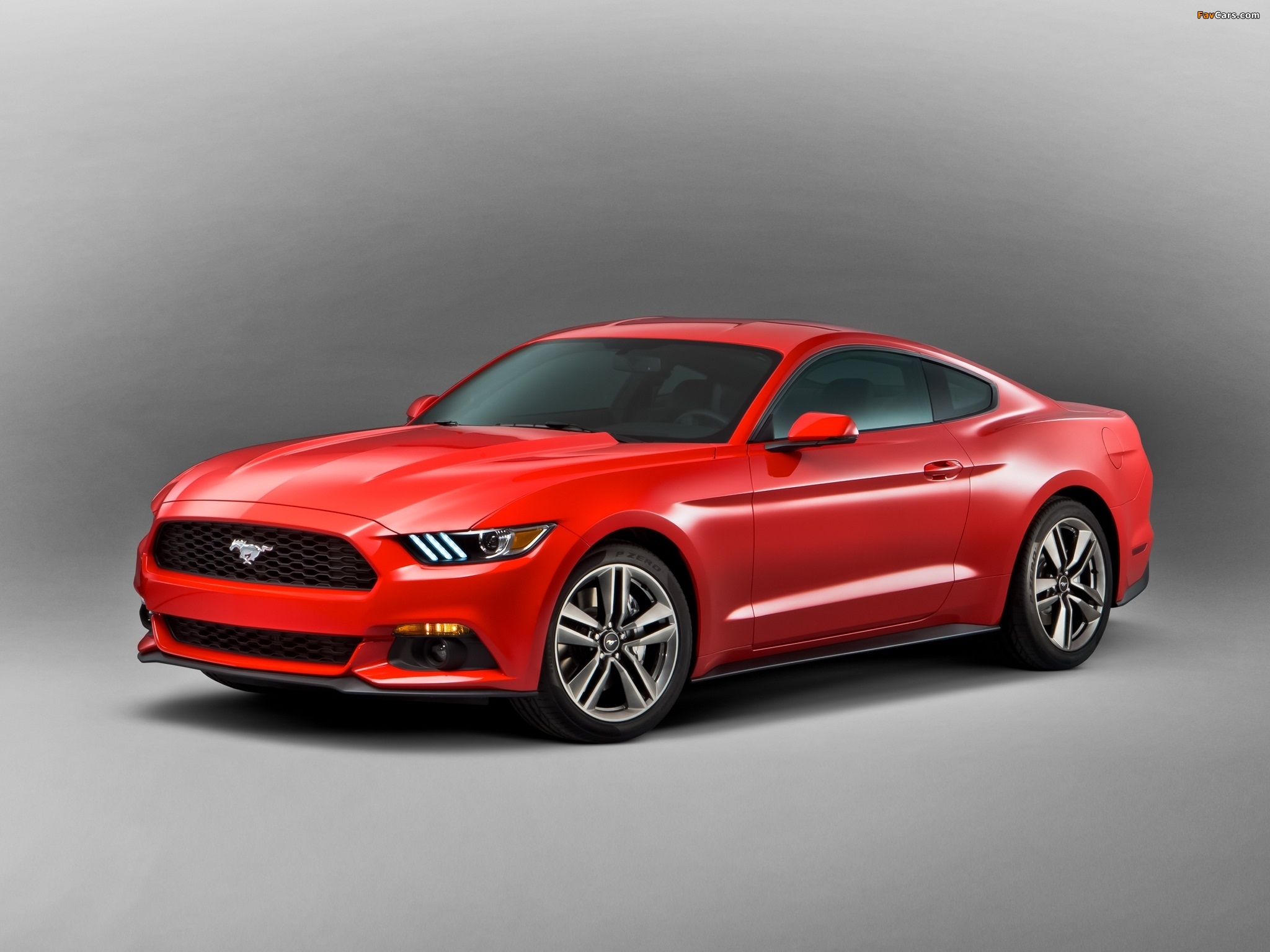 2015 Mustang Coupe 2014 photos (2048 x 1536)