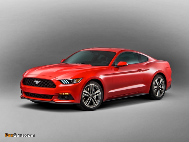 2015 Mustang Coupe 2014 photos (640 x 480)