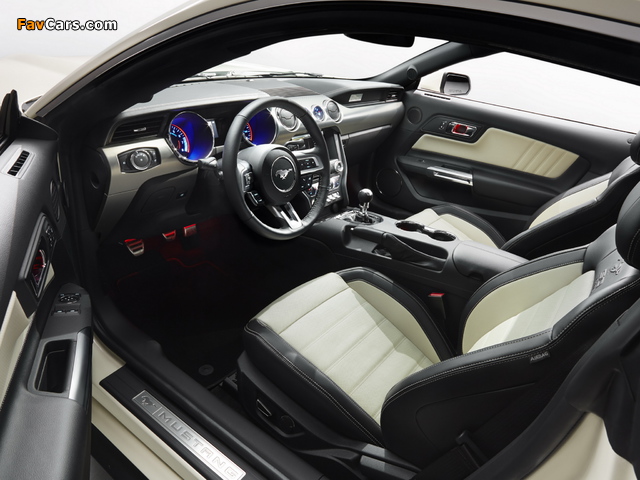 Pictures of 2015 Mustang GT 50 Years 2014 (640 x 480)