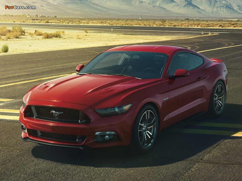 Pictures of 2015 Mustang GT 2014 (800 x 600)
