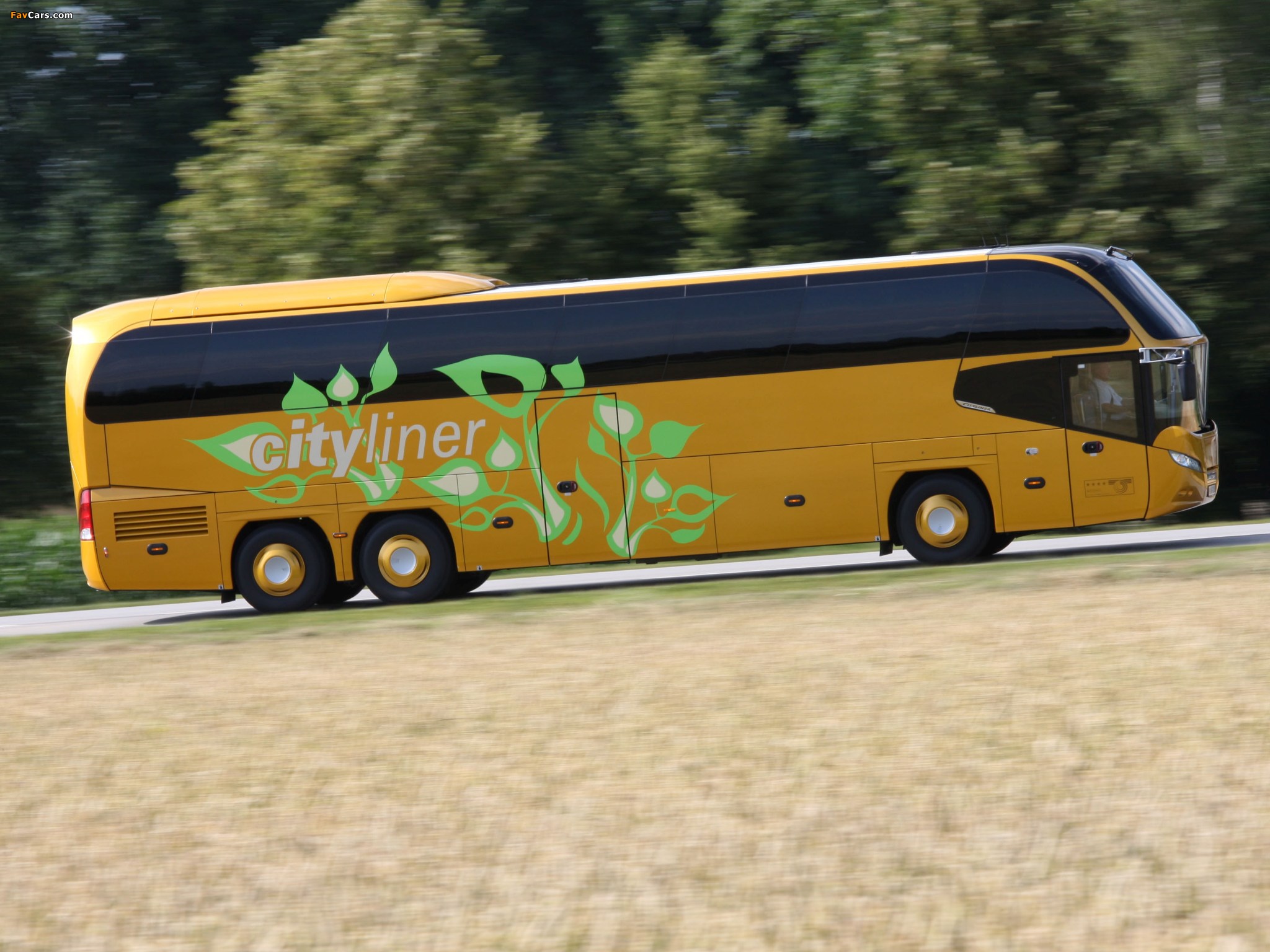 Pictures of Neoplan Cityliner C 2009 (2048 x 1536)