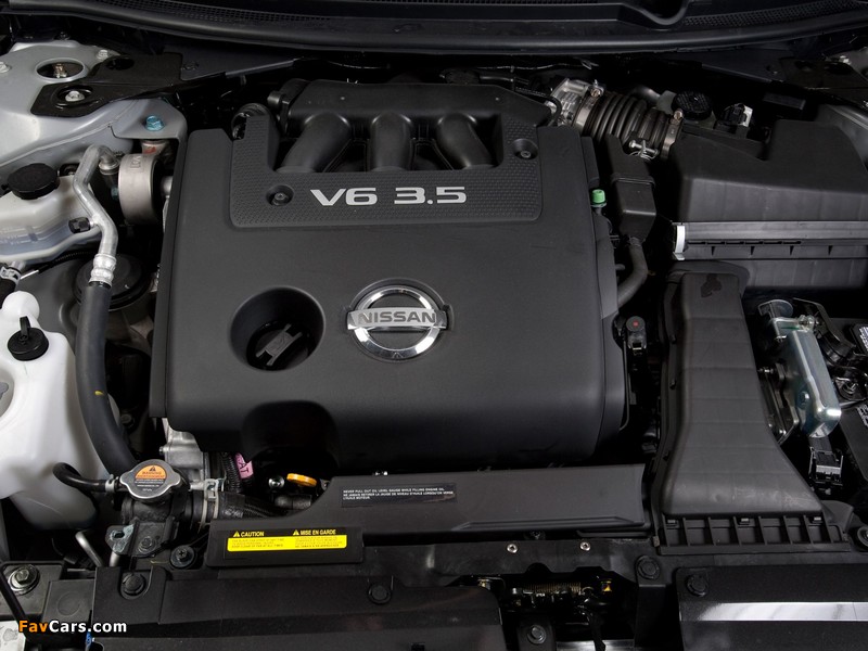 Images of Nissan Altima (L32) 2009–12 (800 x 600)