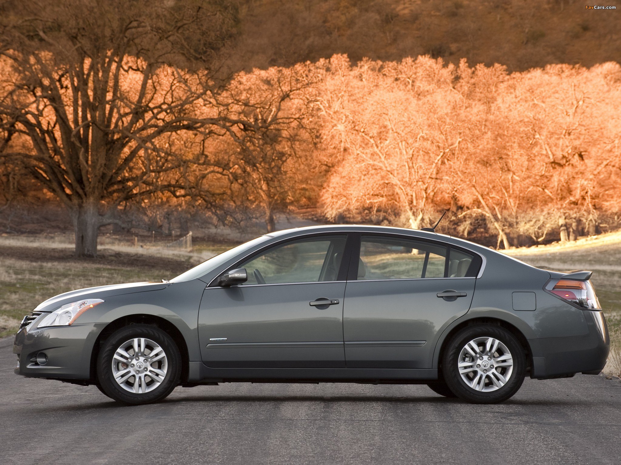 Nissan Altima Hybrid (L32) 2010–12 images (2048 x 1536)