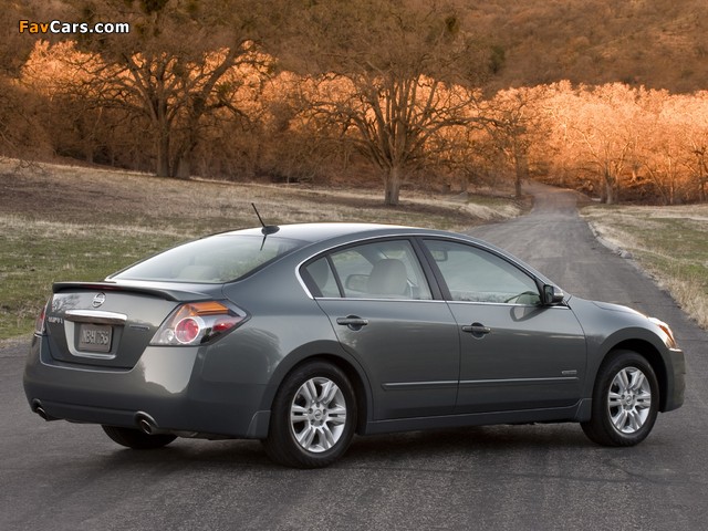 Pictures of Nissan Altima Hybrid (L32) 2010–12 (640 x 480)