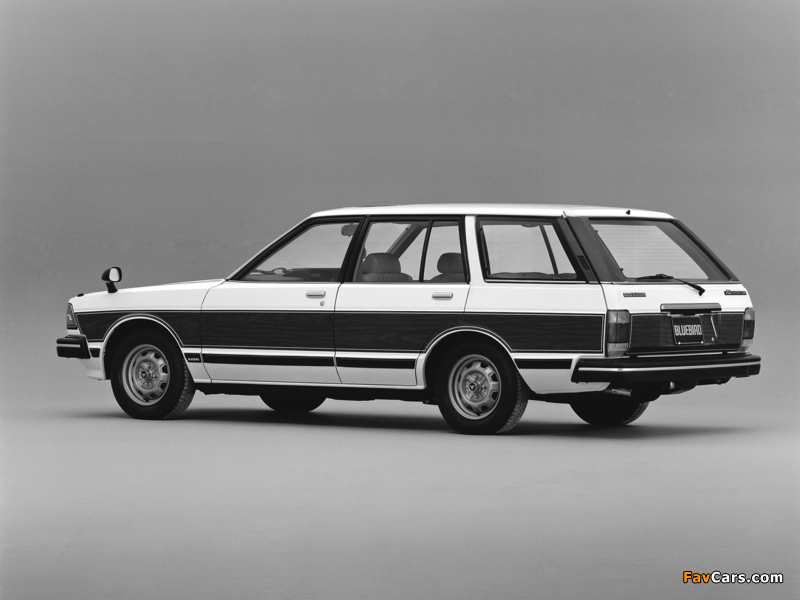 Photos of Nissan Bluebird AD Wagon (910) 1979–83 (800 x 600)