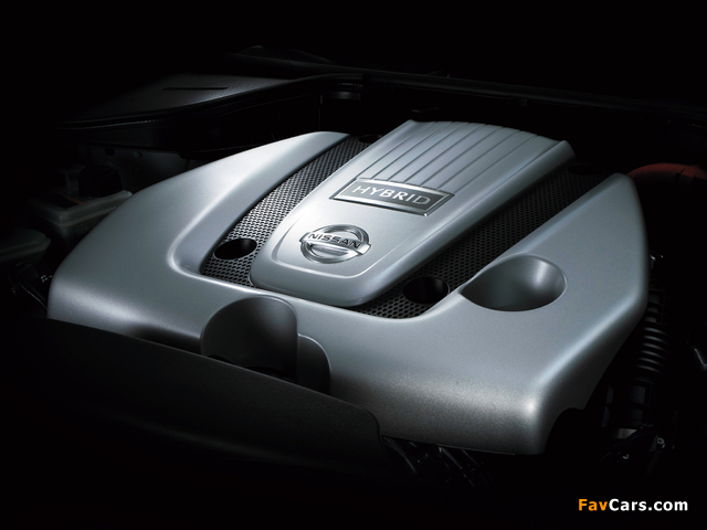 Nissan Cima Hybrid (HGY51) 2012 pictures (640 x 480)