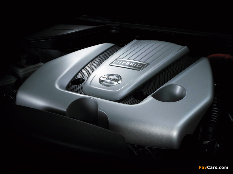 Nissan Cima Hybrid (HGY51) 2012 pictures (800 x 600)