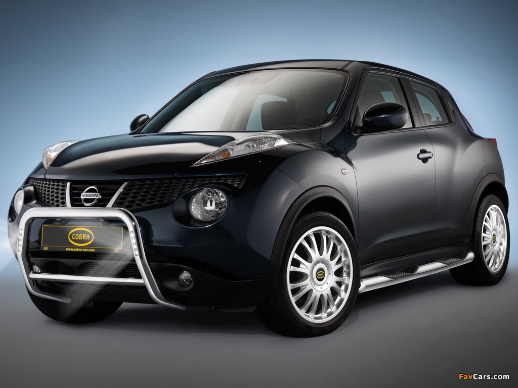 Cobra Nissan Juke (YF15) 2010 images (1024 x 768)