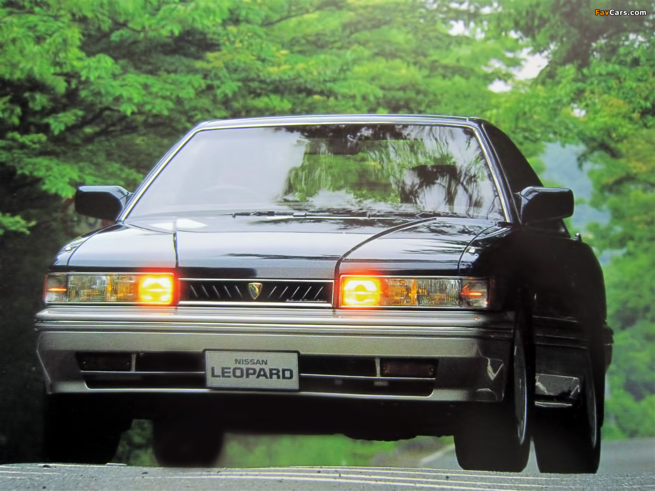 Pictures of Nissan Leopard (UF31) 1986–88 (1280 x 960)