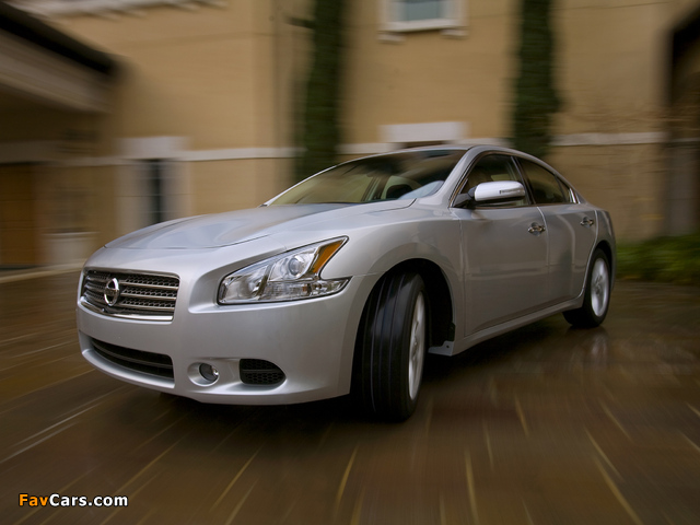 Images of Nissan Maxima (A36) 2008 (640 x 480)