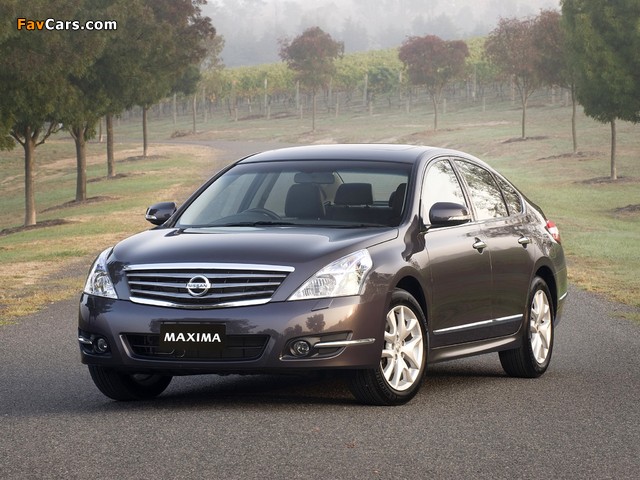 Images of Nissan Maxima 2009 (640 x 480)